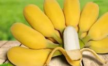 苹果蕉和普通香蕉的区别