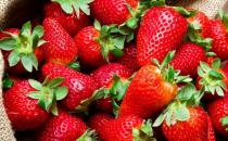 山东十大草莓之乡，全国哪里的草莓最好吃？