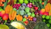 热带水果都有哪些水果 热带水果的特点 热带水果吃了上火吗